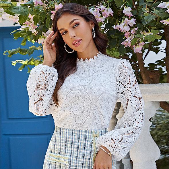 Women Spring Fall Crew Neck Lace Tulle Elegant Lantern Sleeve Solid Blouses