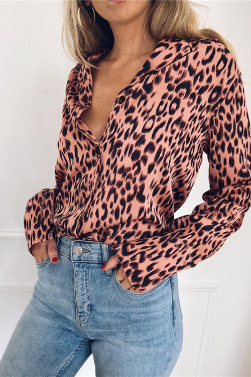 Popular V-neck Long Sleeve Leopard Pr...