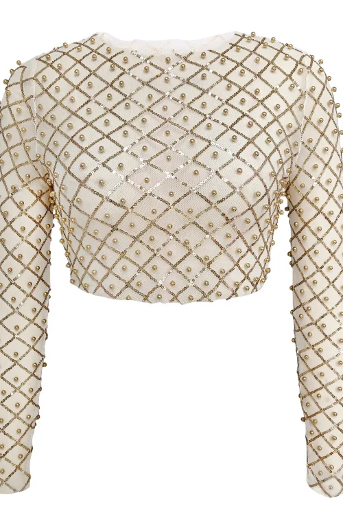 Glitter Mesh Crop Top – Embroidered, Full Sleeve, O Neck