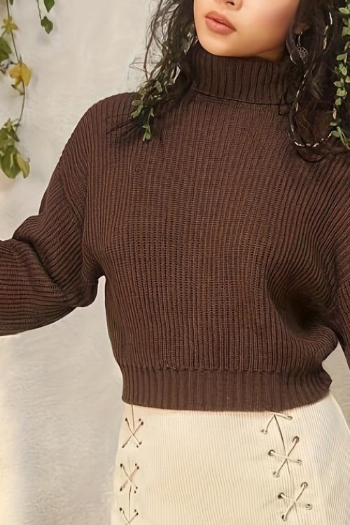 Simple Turtleneck Pullover – Au...