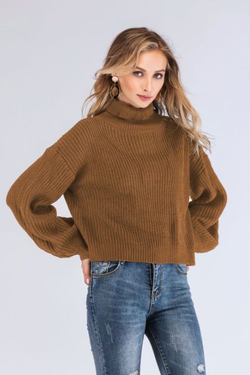 Thick Soft Half High Collar Sweater